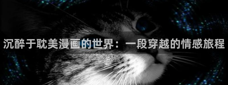 樱花漫画在线观看免费：沉醉于耽美漫画的世界：一段穿越的情感旅程